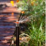 Why Irrigation Startups Are Critical for Spring Landscape Success