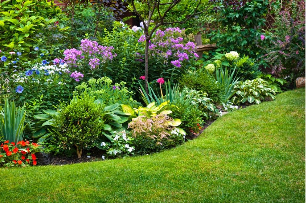 Professionally maintained landscape bed with flowering plants, shrubs, and manicured lawn