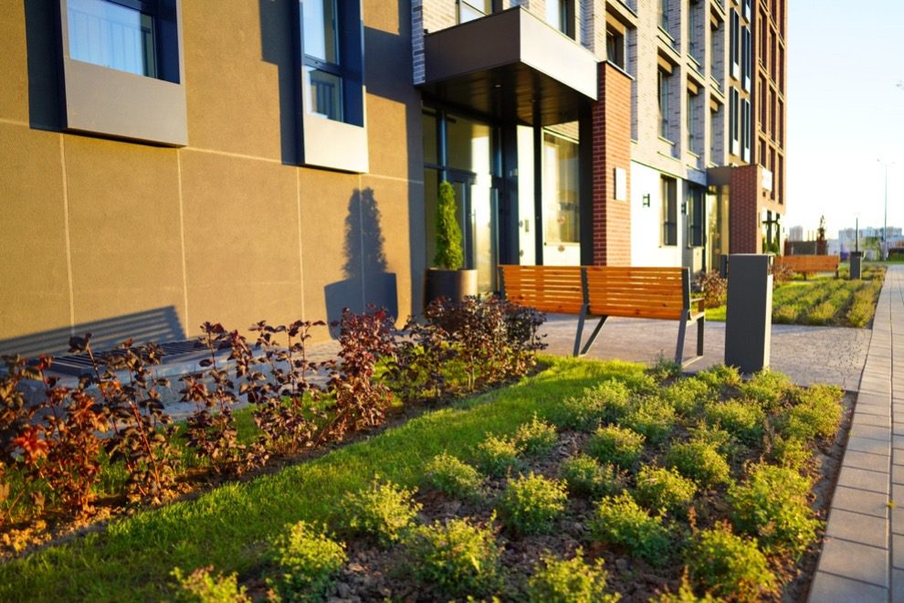 Commercial landscape maintenance with shrubs, lawn, and walkway outside modern office building