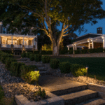 How Landscape Lighting Enhances Safety and Curb Appeal